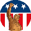 Patriot icon