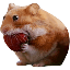 nomnom icon
