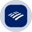 Bank of America Tokenized Stock (Ondo) icon