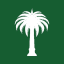 Palm USD icon